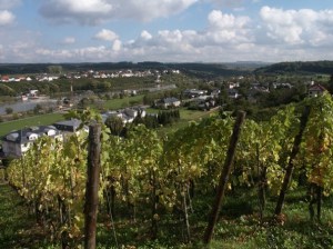 Schwebsange vignobles